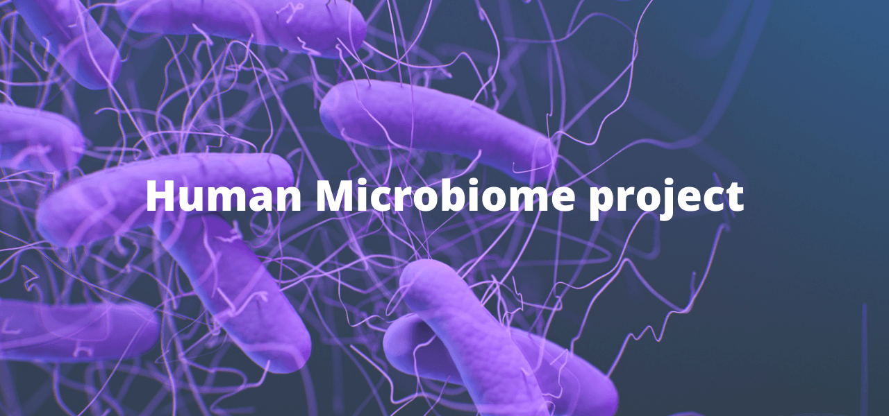 human microbiome bacteria